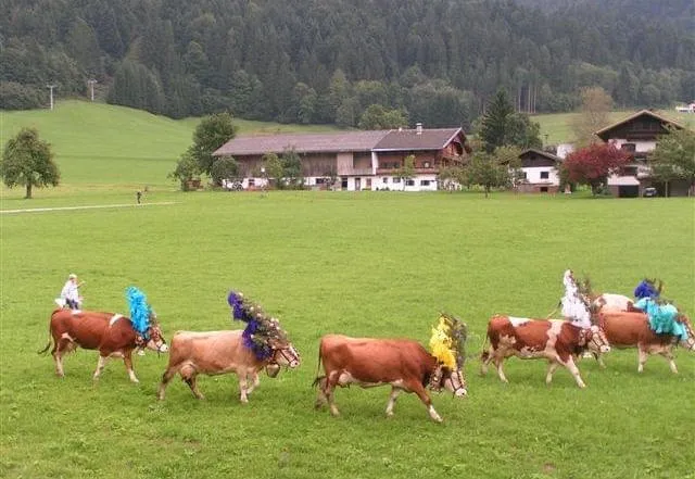 fewo-itter-(2)